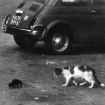 Conway the Machine & Wun Two – Mind Tricks