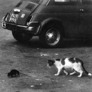 Conway the Machine & Wun Two – Mind Tricks