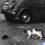 Conway the Machine – Cosca Ft Wun Two