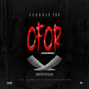 Sparkle Tee – Ofor (Omamme)