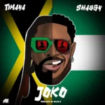 Timaya – Joko Ft. Shaggy