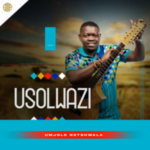 USolwazi – Imali yokugoduka