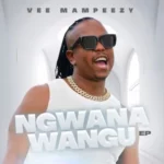 Vee Mampeezy – Mmampudi ft DJ Ngwazi & DJ Maputo