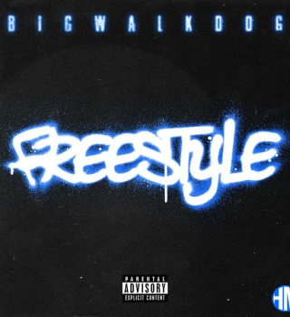 BigWalkDog – Freestyle Mp3 Download