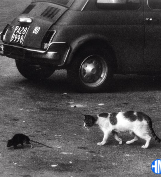 Conway the Machine – Brick by Brick Ft Wun Two Mp3 Download