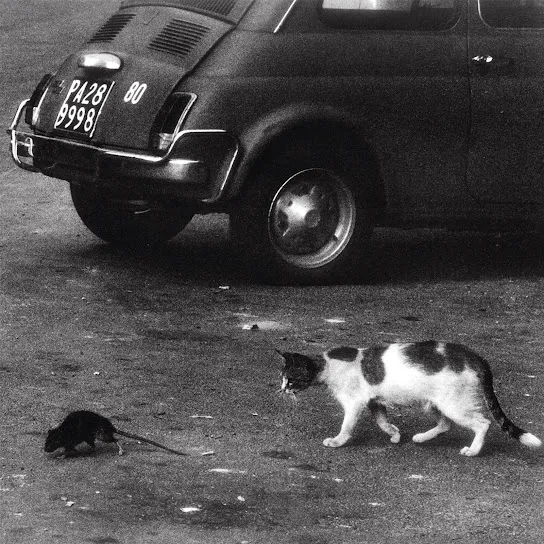 Conway the Machine & Wun Two – Mind Tricks Mp3 Download