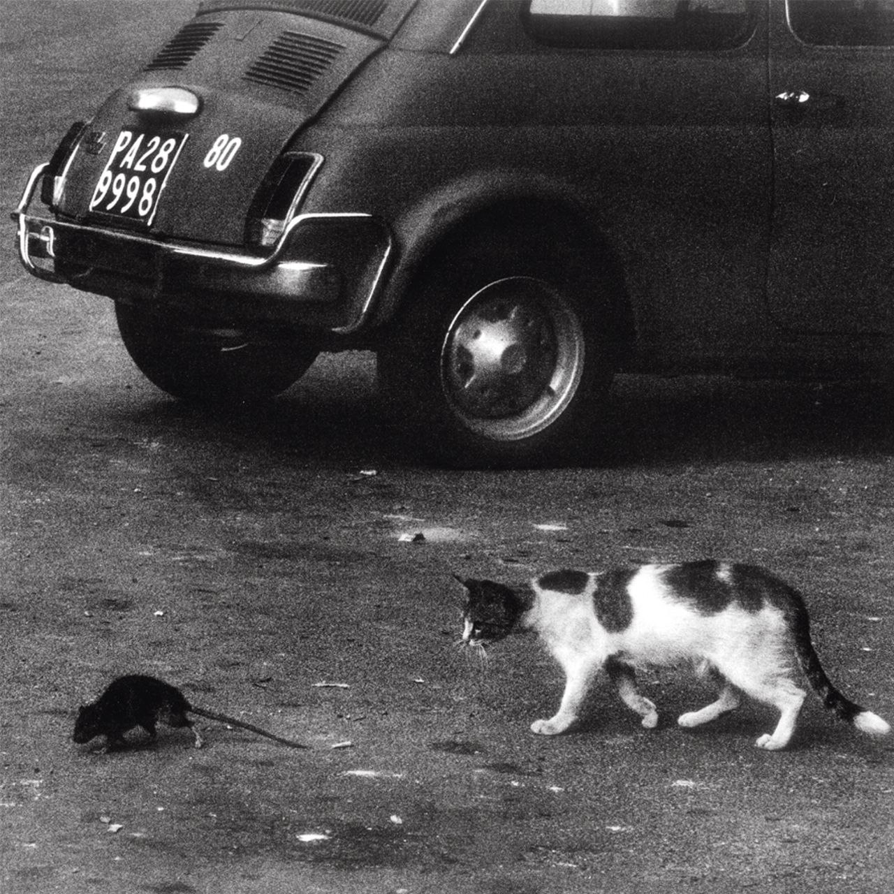 Conway The Machine & Wun Two – Zisa (Skit) Mp3 Download