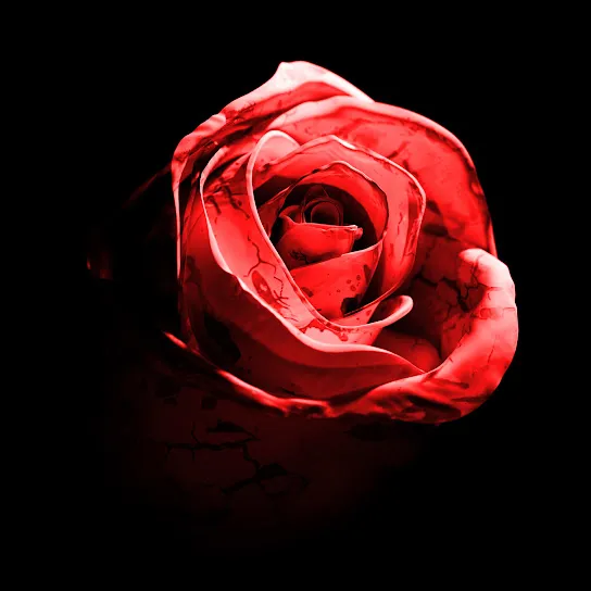 d4vd – Romantic Homicide (Live Version) Mp3 Download