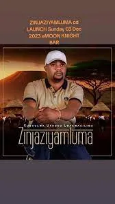 Zinjaziyamluma – Useyinyoka Mp3 Download